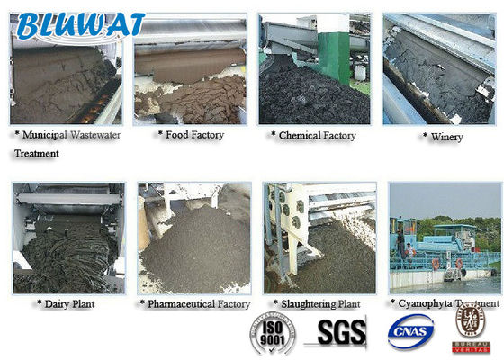 kopen Wit Poederpolyacrylamide Van kationen voor Modder het Ontwateren online vervaardiging