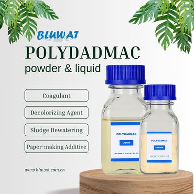 kopen Slijmontwatering en -afkleuring voor de behandeling van afvalwater online vervaardiging