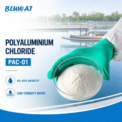 Kopen 45-55% Basicity White Powder 25kg Bag PAC-01 Polyaluminium Chloride for Low-Turbidity Water online vervaardiging
