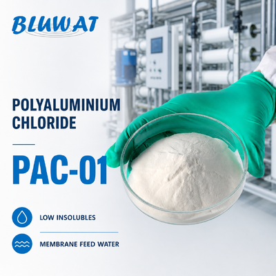 Kopen 0.1% Max. Insolubles White Powder 25kg Bag PAC-01 Polyaluminium Chloride for Membrane Feed Water online vervaardiging