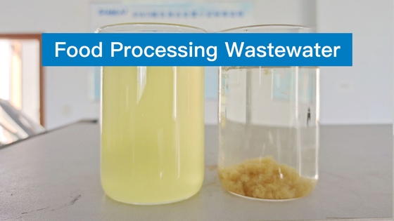 DCA-SGS de Agent Wastewater Treatment Chemicals van Waterdecoloring