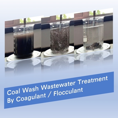 Van het de Waterzuiveringsinstallatiepolymeer van de steenkoolwas Flocculant van het de Chemische productenpolyacrylamide van Bluwat