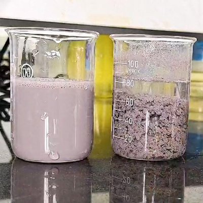 Schilderend Flocculant van het de Behandelings Anionisch Polymeer van het de Industriewater Polyacrylamide