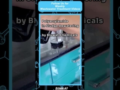 Polyacrylamide PAM Flocculant voor het verdikkelen en ontwateren van slib