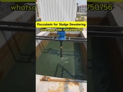 Polyacrylamide Flocculant Polyelectrolyt Waterbehandeling Slib Verdikking en ontwatering