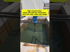 Zwart geurig afvalwater omzetten in helder water flocculant & behandeling proces